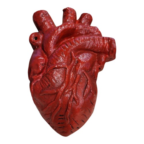 Corazón Anatómico Rojo